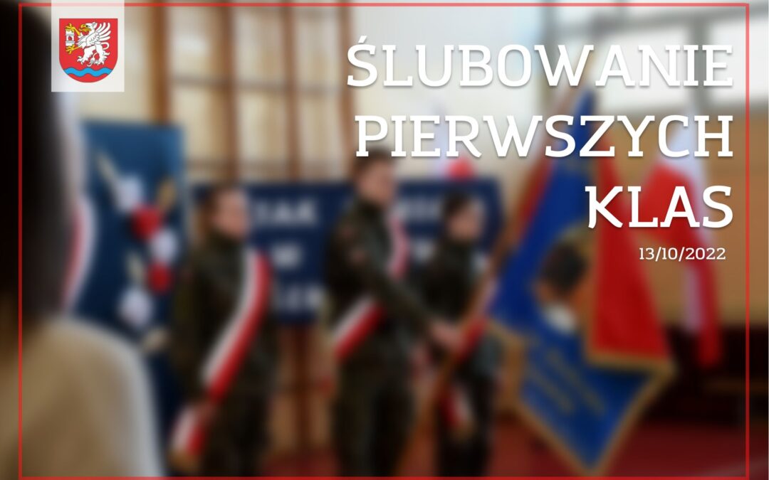 Ślubowanie klas pierwszych w szkołach Powiatu Łęczyńskiego oraz w Przedszkolu Specjalnym w Ludwinie