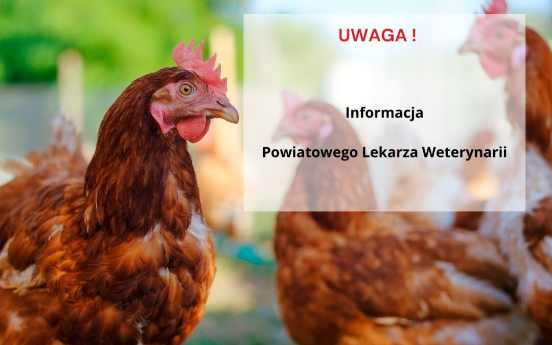 Informacja Powiatowego Lekarza Weterynarii