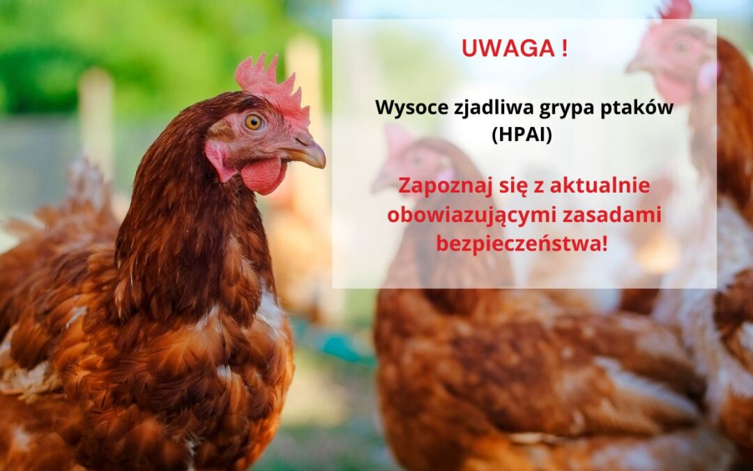 Uwaga! Wysoce zjadliwa grypa ptaków (HPAI)