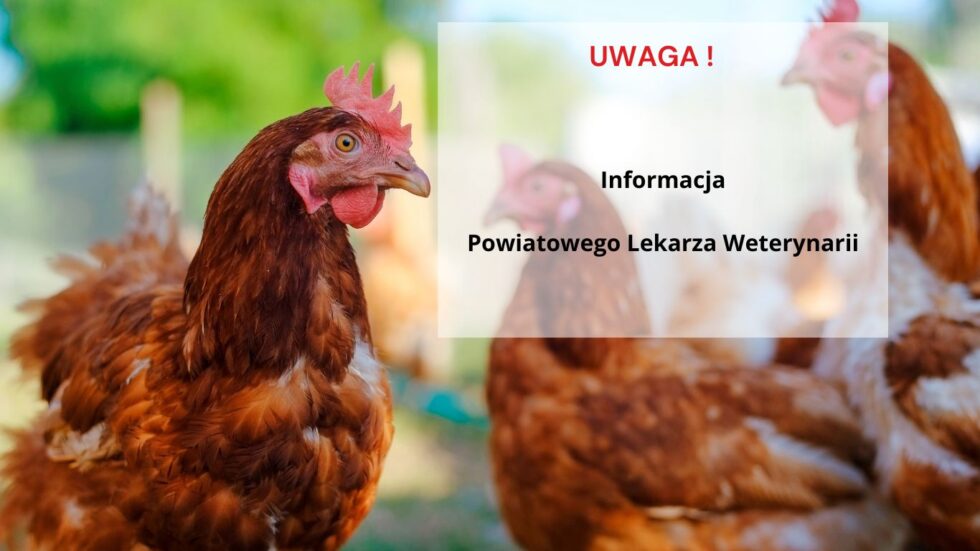 Informacja Powiatowego Lekarza Weterynarii