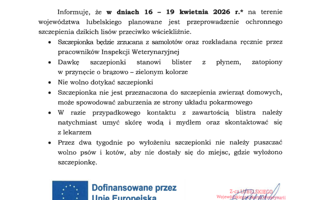 UWAGA! Trwa wiosenna akcja szczepień lisów przeciwko wściekliźnie